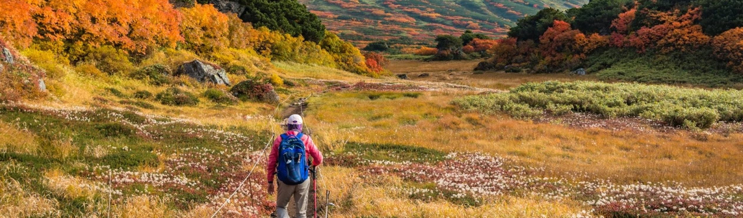 Hiker walking through autumn landscape in Higashikawa